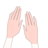 手の甲