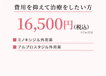 費用を抑えて治療をしたい方 16,500円(税込)※1ヶ月分 ミノキシジル外用薬 アルプロスタジル外用薬